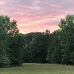 Meet your Posher, Janet